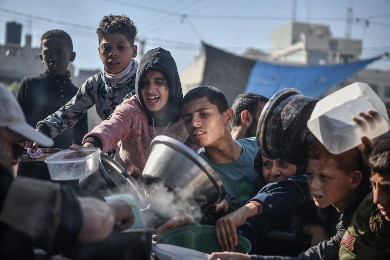 undp-tok-gaza-2024.jpg