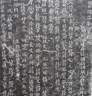 纻 ̹