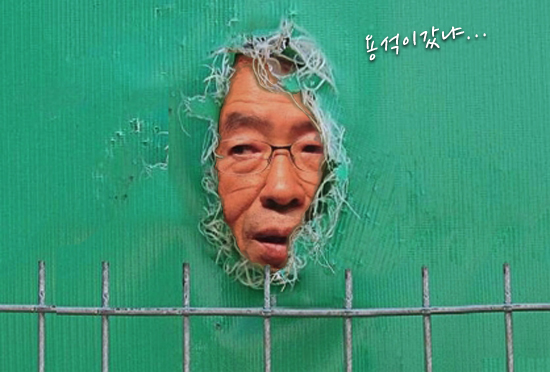 기사본문 이미지