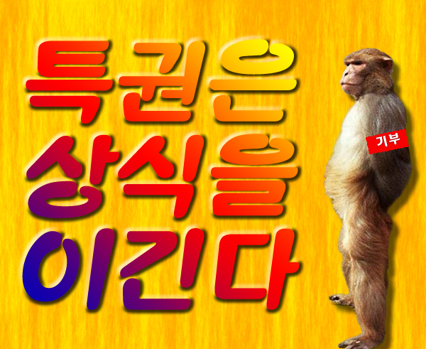 기사본문 이미지