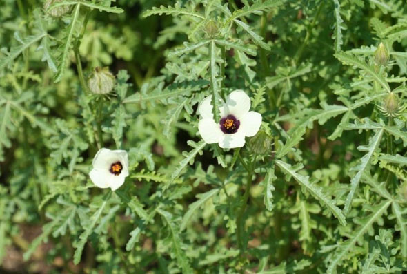 ±â»çº»¹® À̹ÌÁö