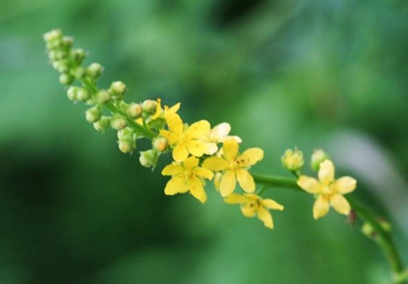 ±â»çº»¹® À̹ÌÁö