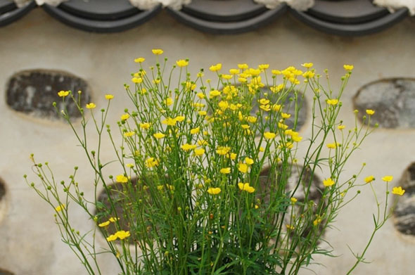 ±â»çº»¹® À̹ÌÁö