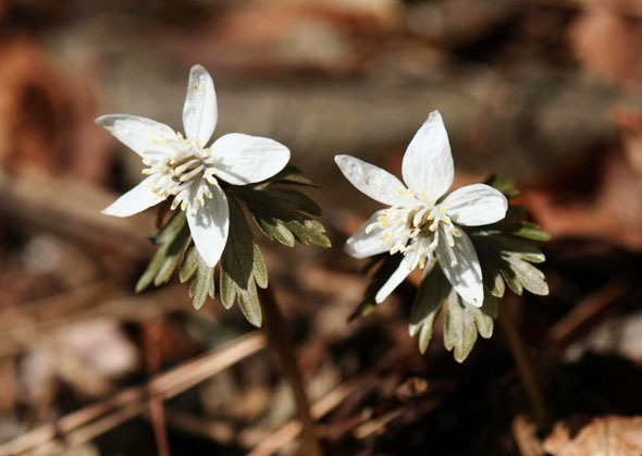 ±â»çº»¹® À̹ÌÁö