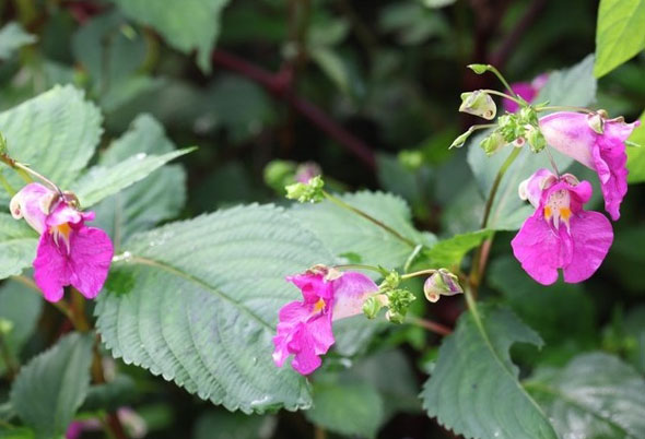 ±â»çº»¹® À̹ÌÁö