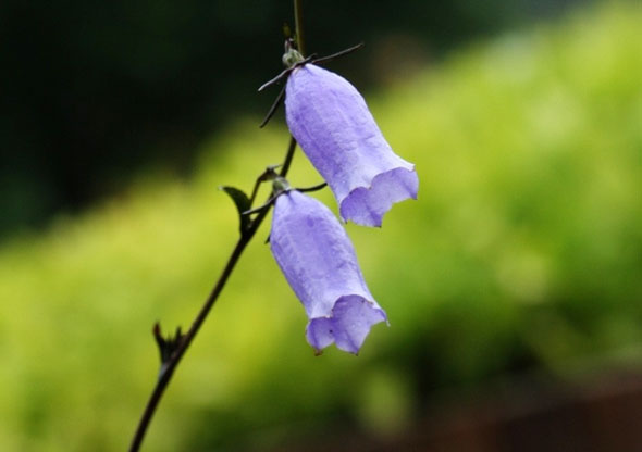 ±â»çº»¹® À̹ÌÁö