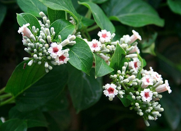 ±â»çº»¹® À̹ÌÁö