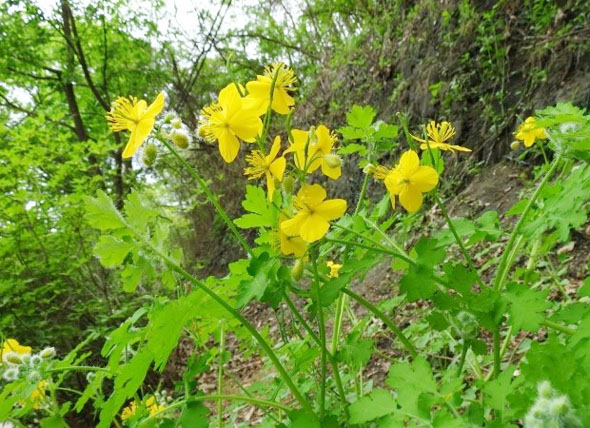 ±â»çº»¹® À̹ÌÁö