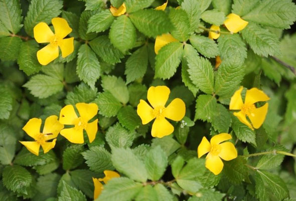 ±â»çº»¹® À̹ÌÁö