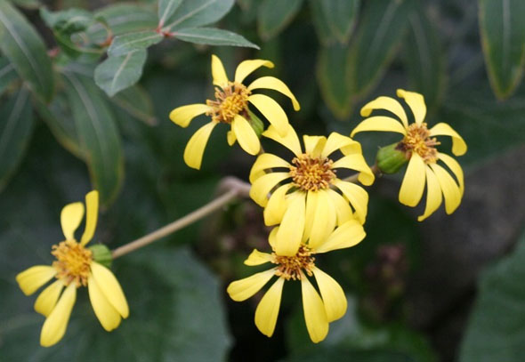 ±â»çº»¹® À̹ÌÁö