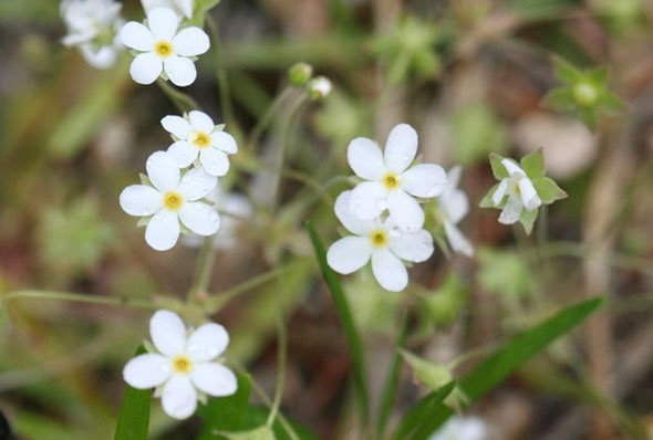 ±â»çº»¹® À̹ÌÁö