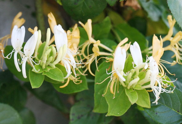 ±â»çº»¹® À̹ÌÁö