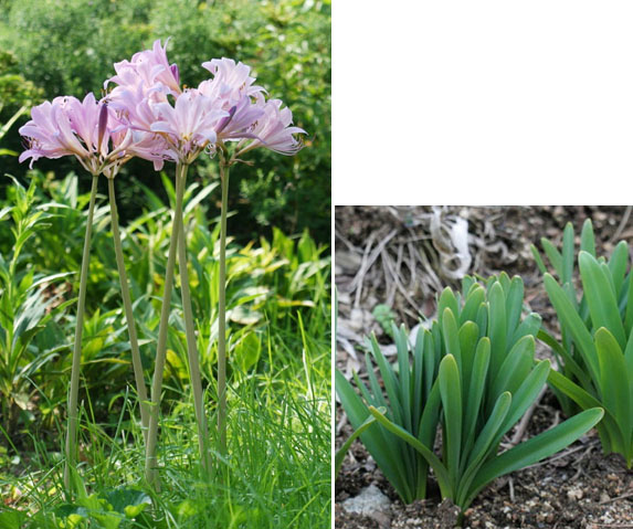 ±â»çº»¹® À̹ÌÁö