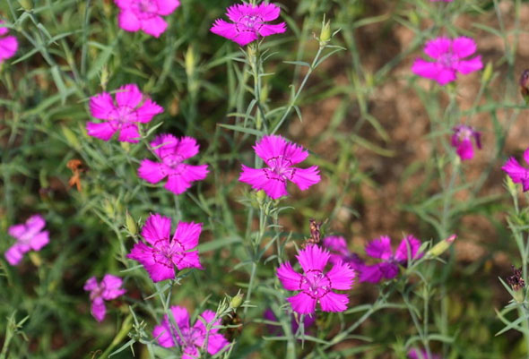 ±â»çº»¹® À̹ÌÁö