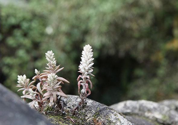 ±â»çº»¹® À̹ÌÁö