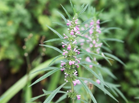 ±â»çº»¹® À̹ÌÁö