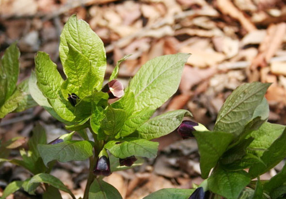 ±â»çº»¹® À̹ÌÁö