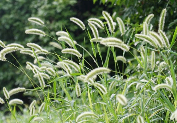 ±â»çº»¹® À̹ÌÁö