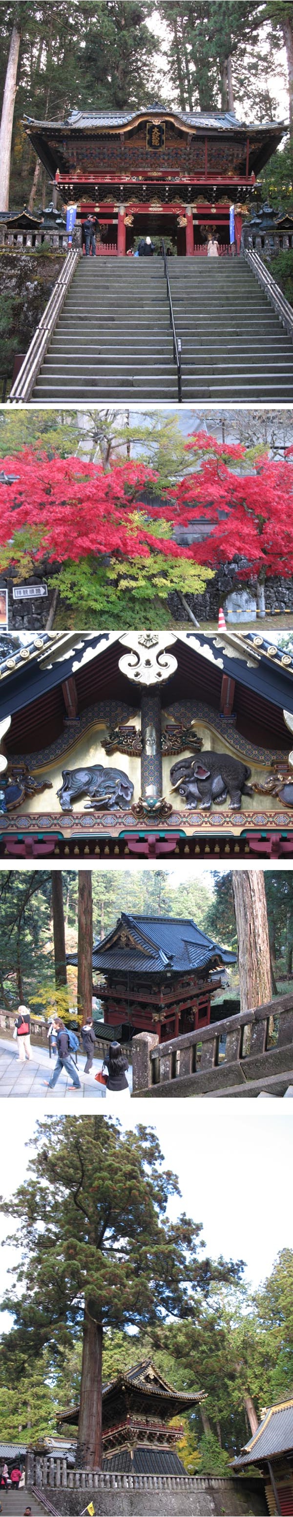 ±â»çº»¹® À̹ÌÁö