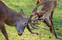 ±â»çº»¹® À̹ÌÁö