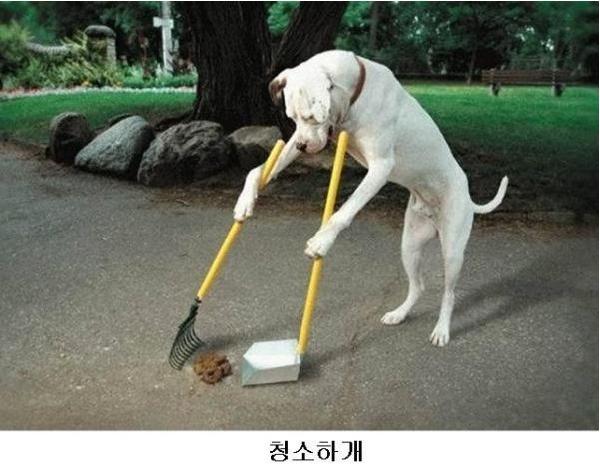 ��纻�� �̹���