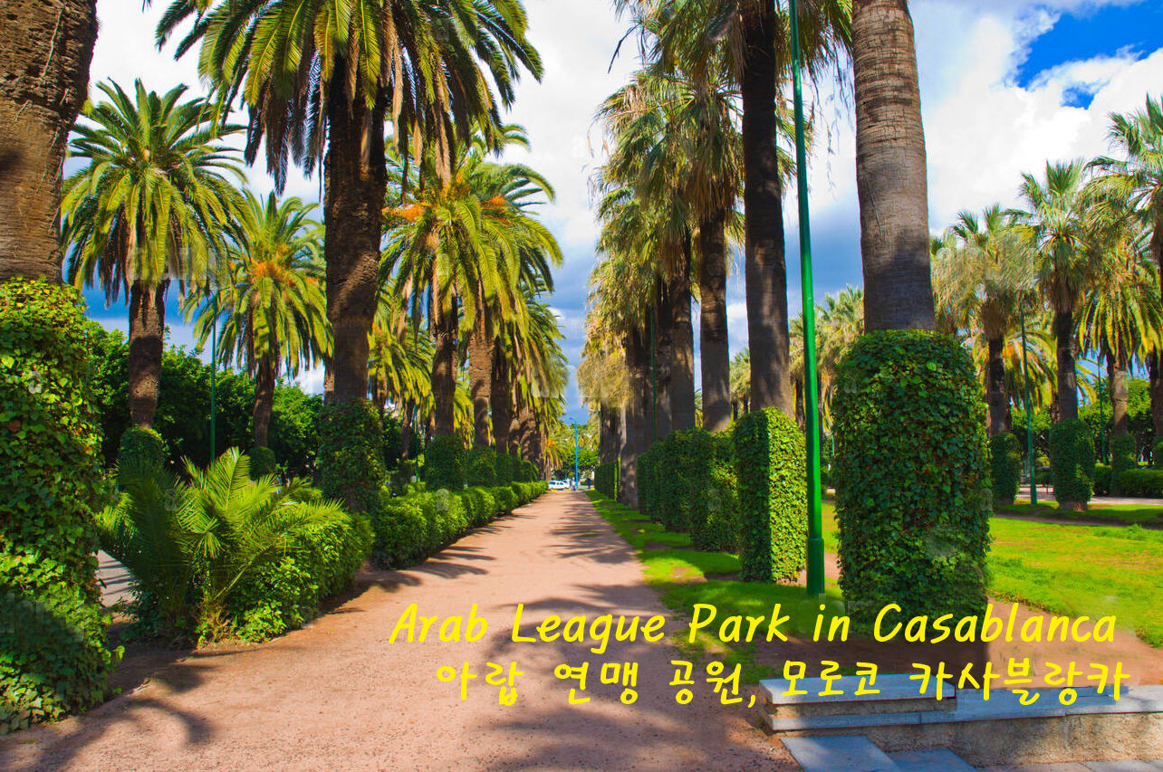 parc-de-la-ligue-arabe-park-nouvelle-ville-casablanca-maroc-central-en-afrique-du-nord-c1360d.jpg