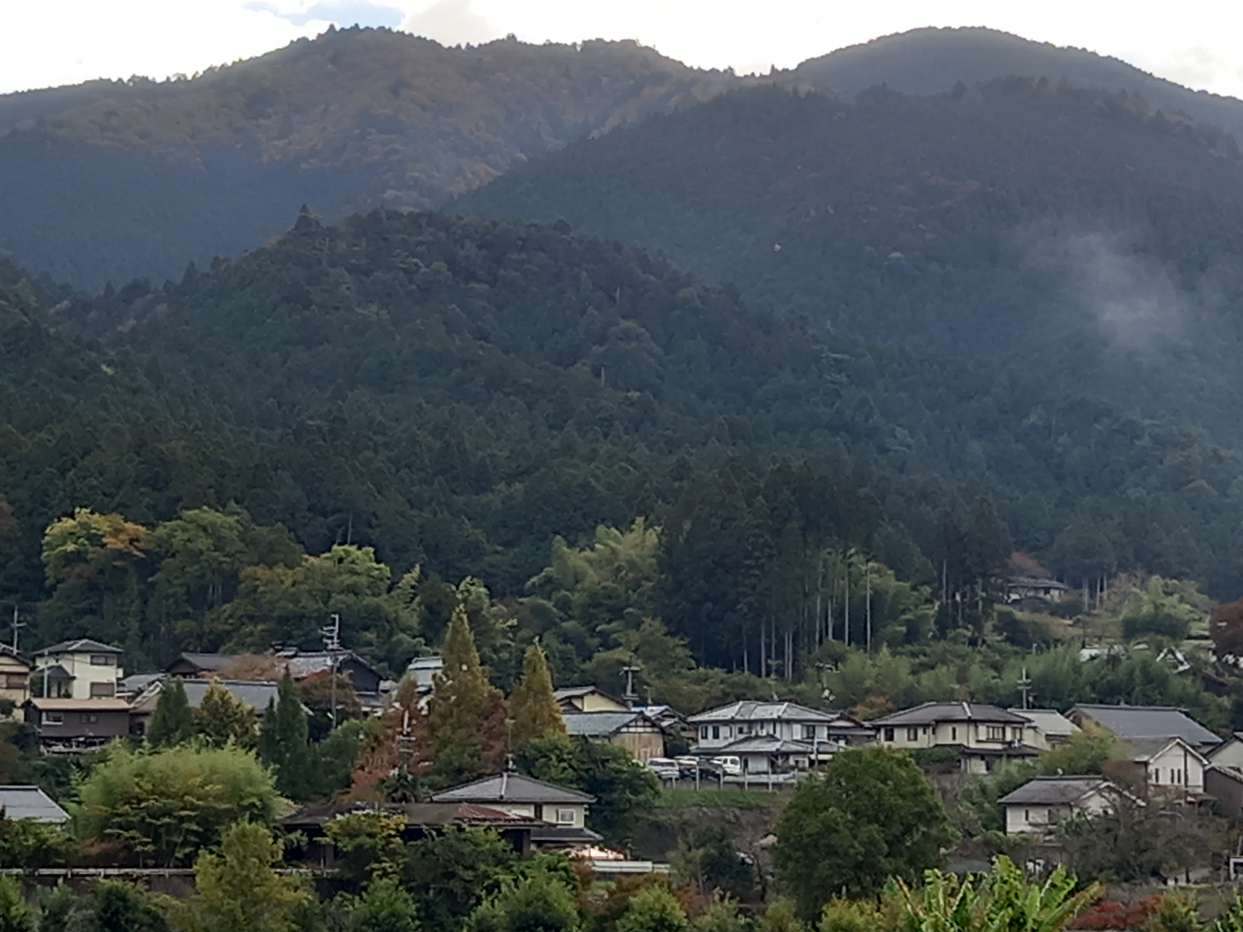 20221105_100237.jpg