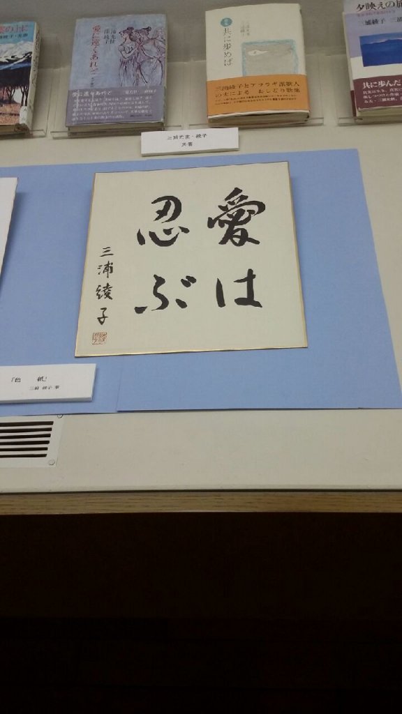 ��纻�� �̹���