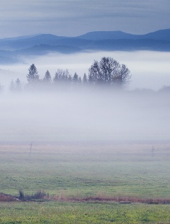 ±â»çº»¹® À̹ÌÁö