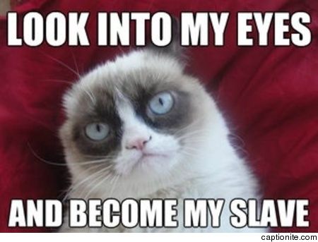 ±â»çº»¹® À̹ÌÁö